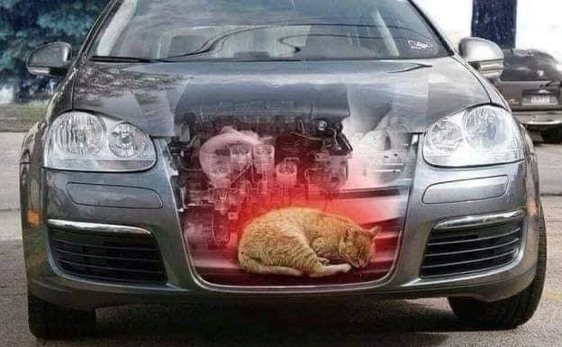 1666692133691.webp