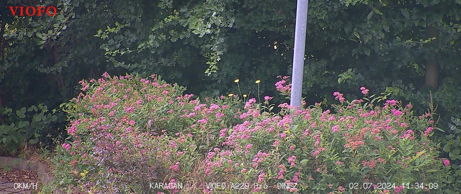 2024_0702_113406_00214R.MP4_snapshot_00.03_[2024.07.03_13.28.42].jpg