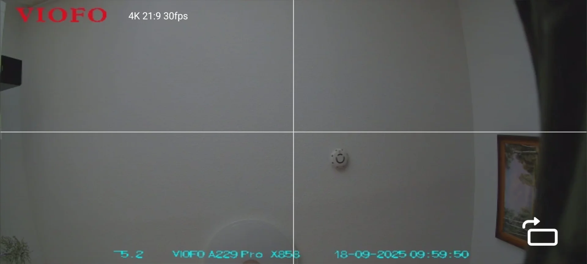 6.webp