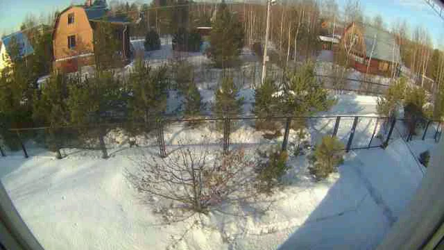 _1.webp