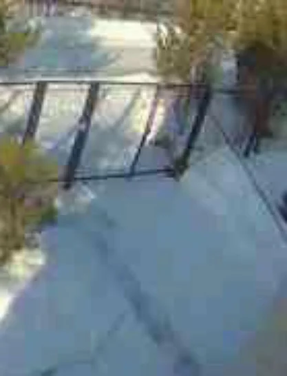 _3.webp