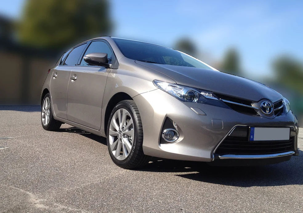 Auris_front.webp