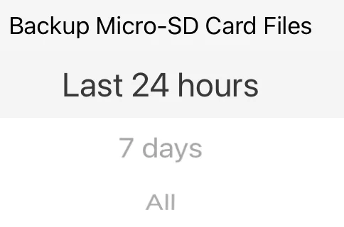 Backup SD Card Files.webp