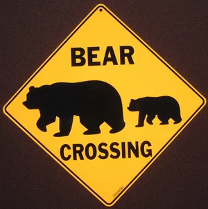 bearsilhouette.webp