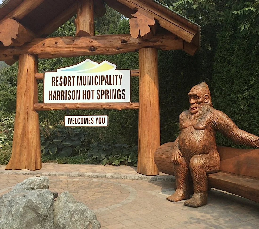 bigfoot2.jpg