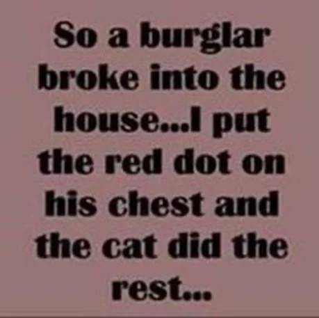 burglar.webp