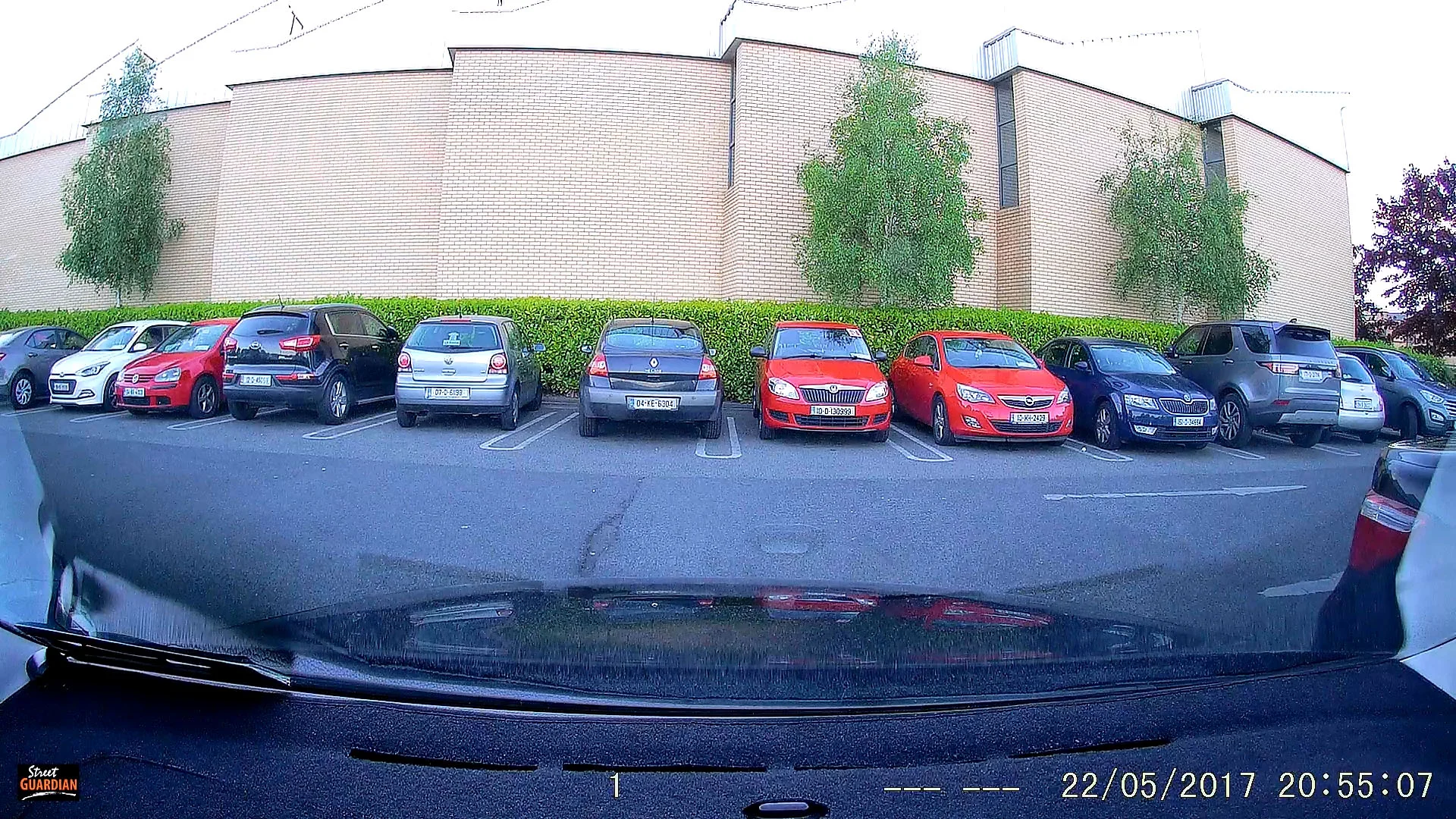 C1 FOV.webp