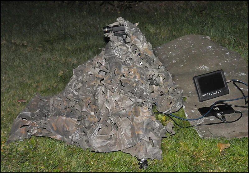 camo.webp
