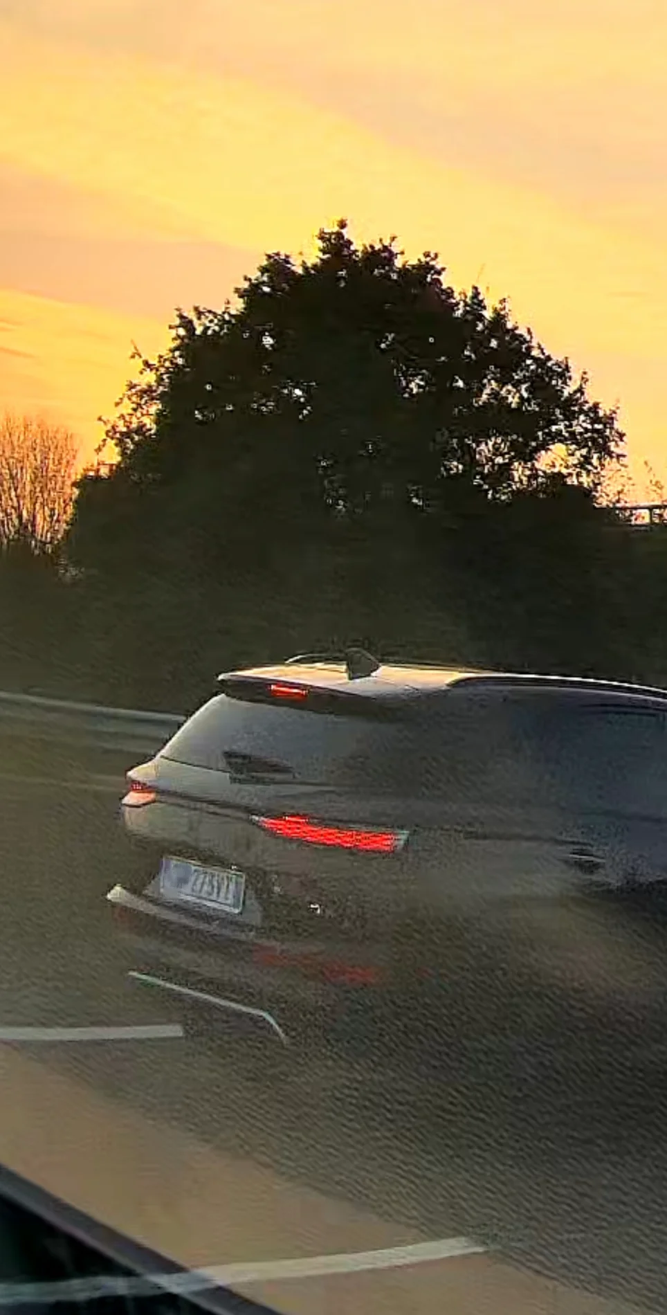 car plate 4.webp