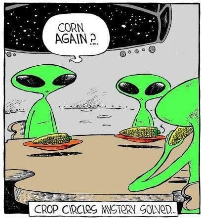 corn.webp