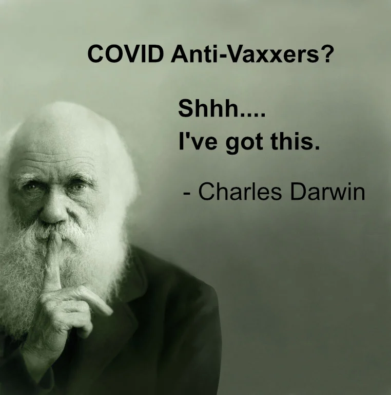 darwin.webp