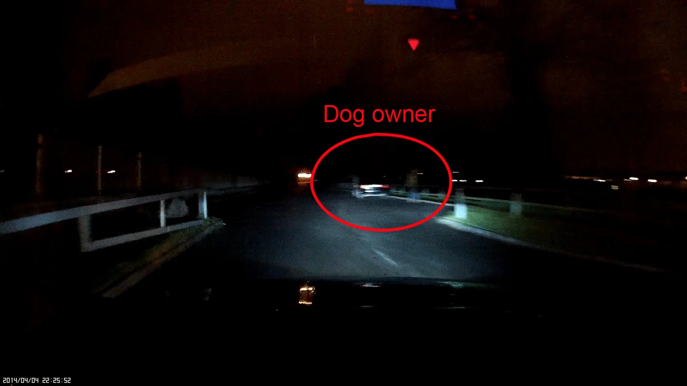 Dog vs Cat (6).webp