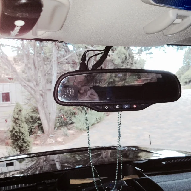 Driverview.webp