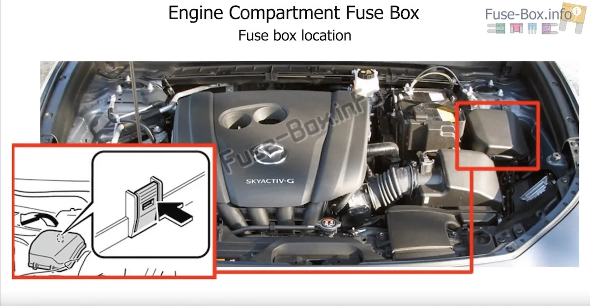 engine_comparment.jpg
