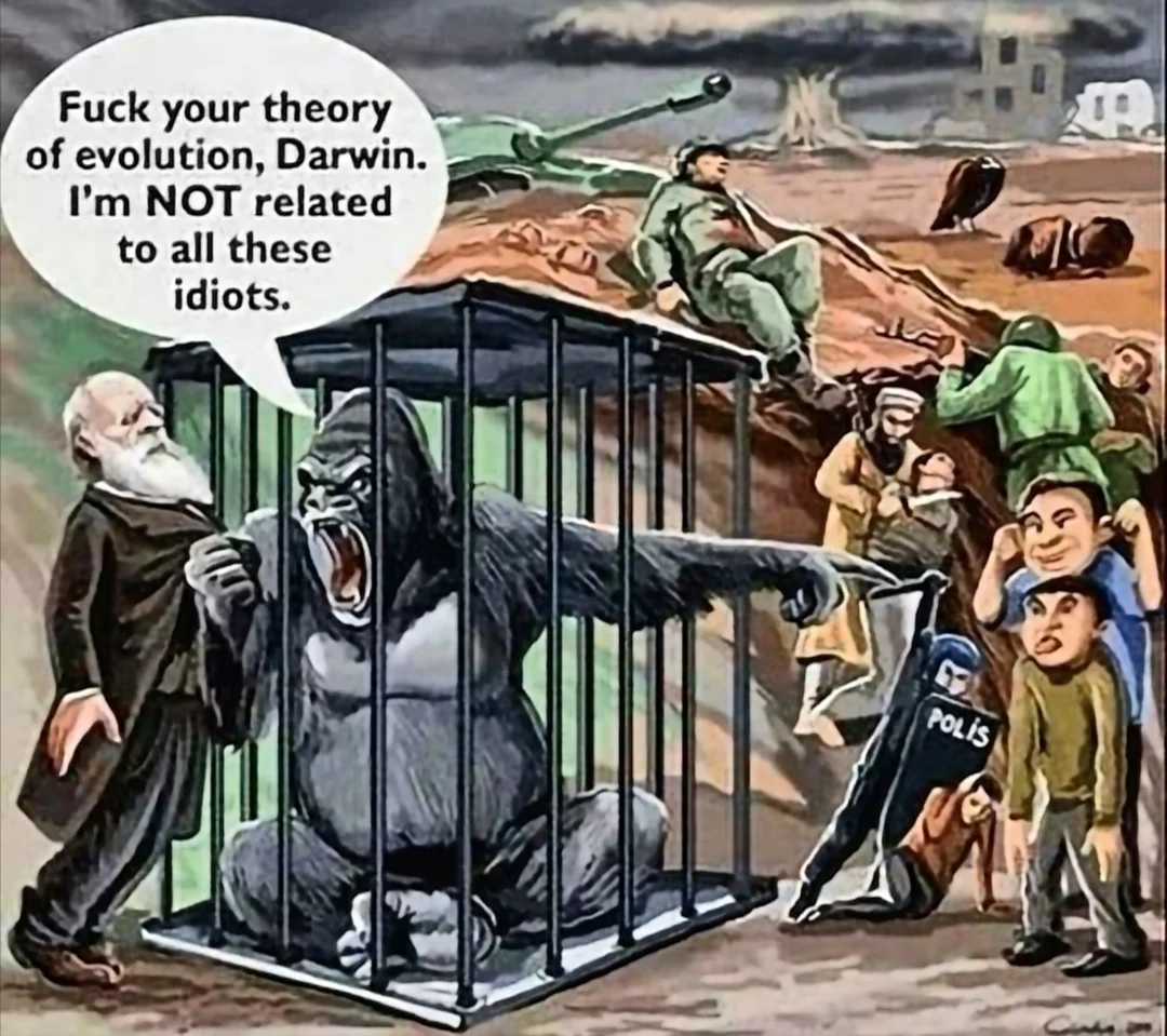evolution.webp