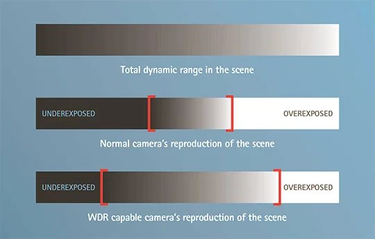 exposure.webp