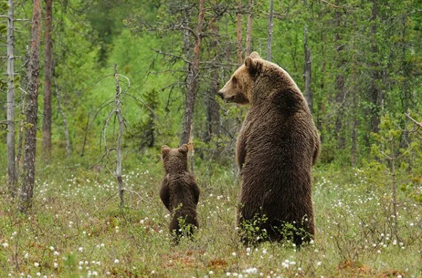 FatherAndSon.webp