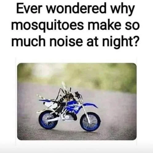 FB_IMG_1624735516147.webp
