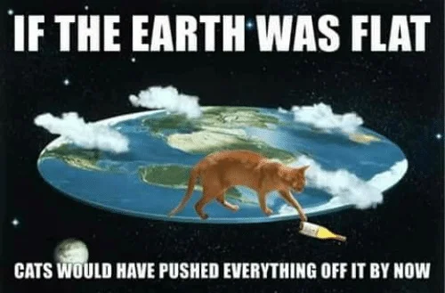 FlatEarthCats.webp