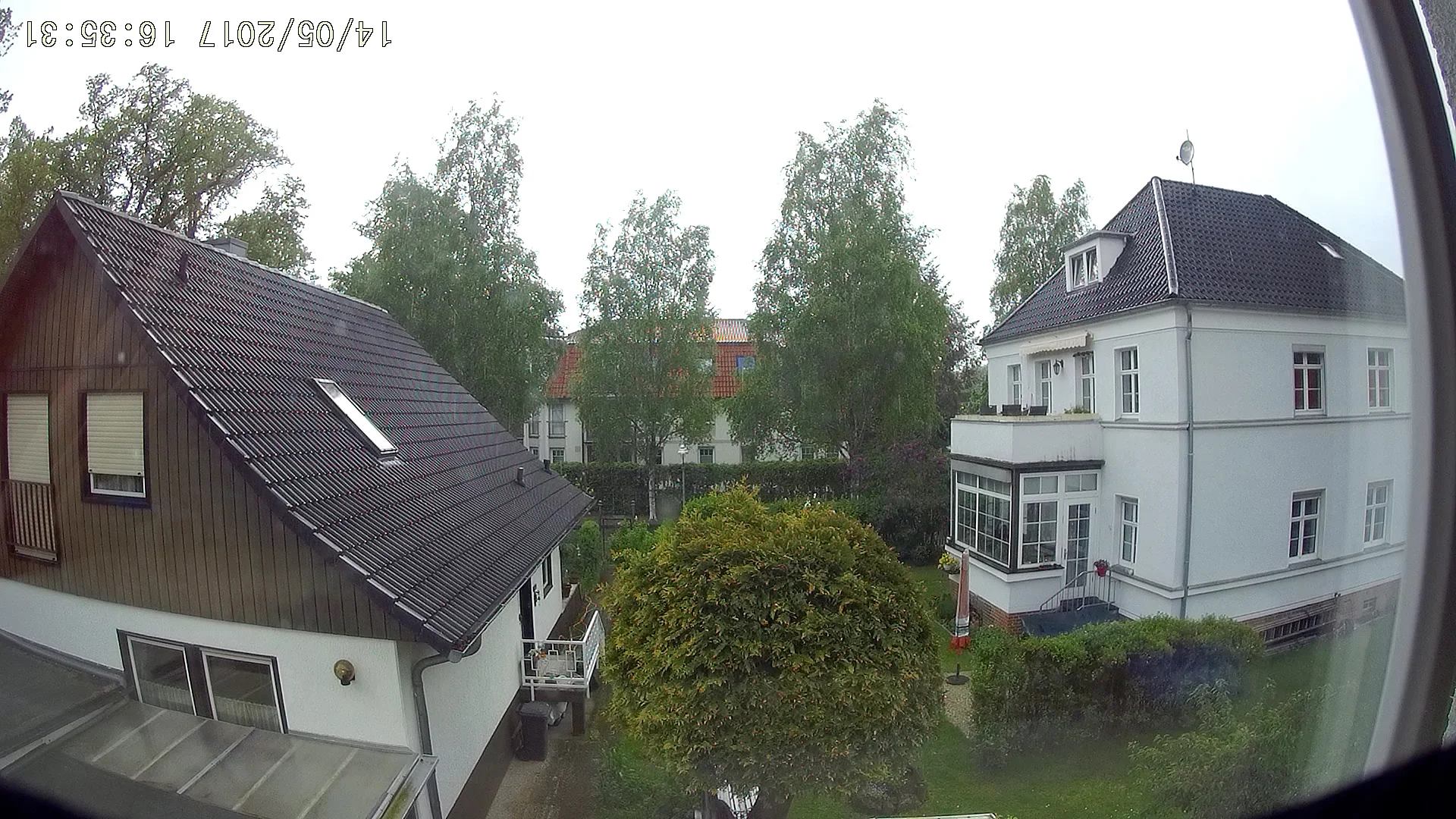 focus_33degC.webp