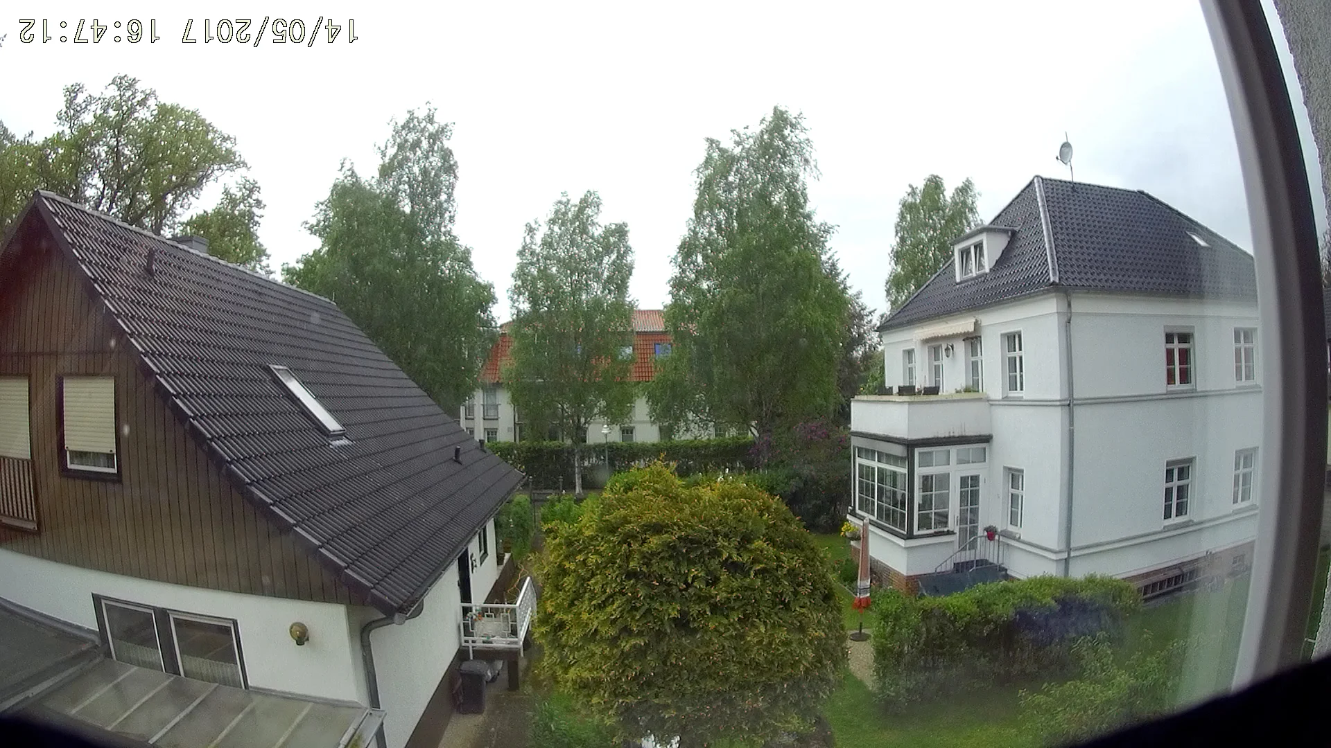 focus_60degC.webp
