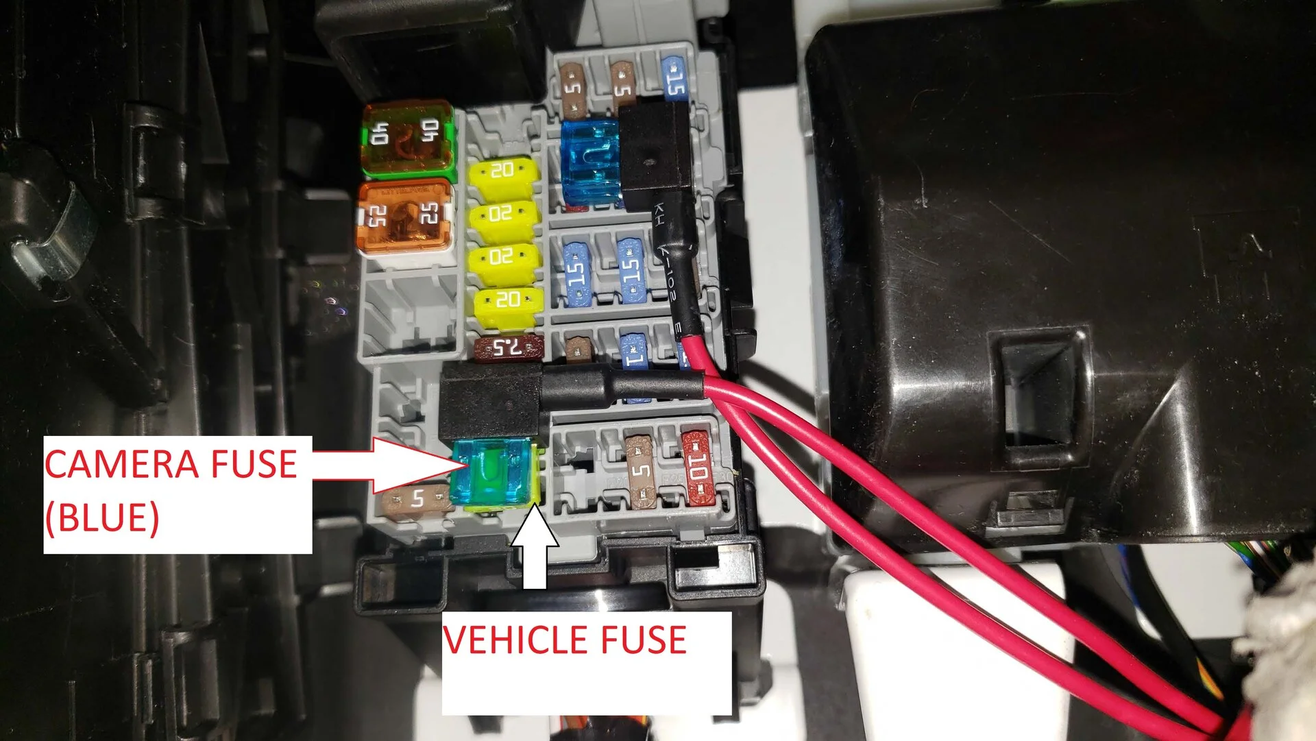 fuse.webp