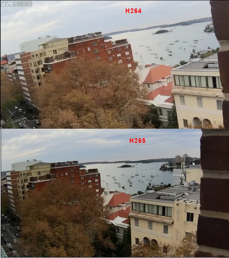 H264 vs H265.webp