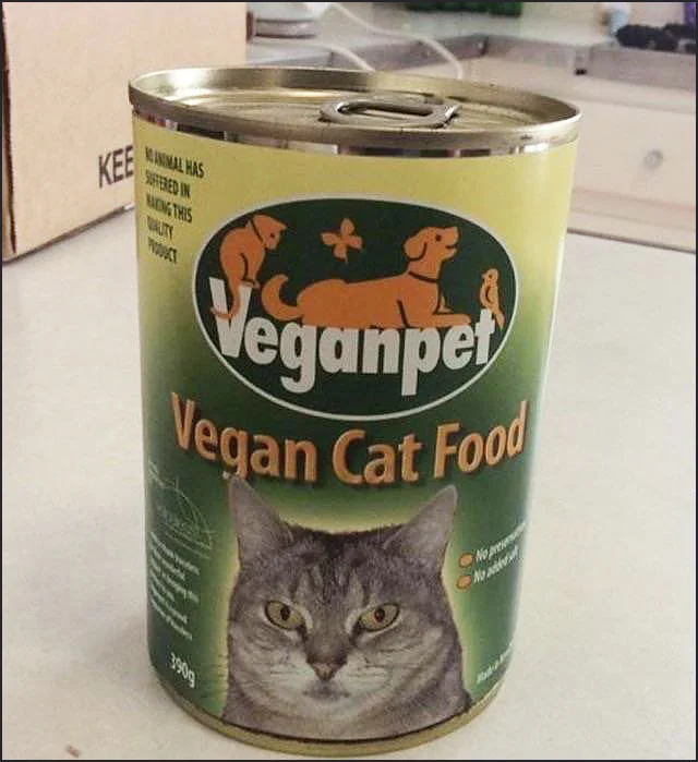 happycat.webp