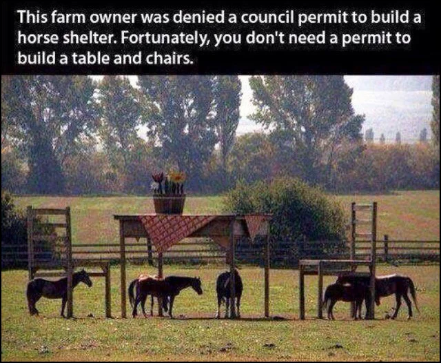 horse_shelter.webp