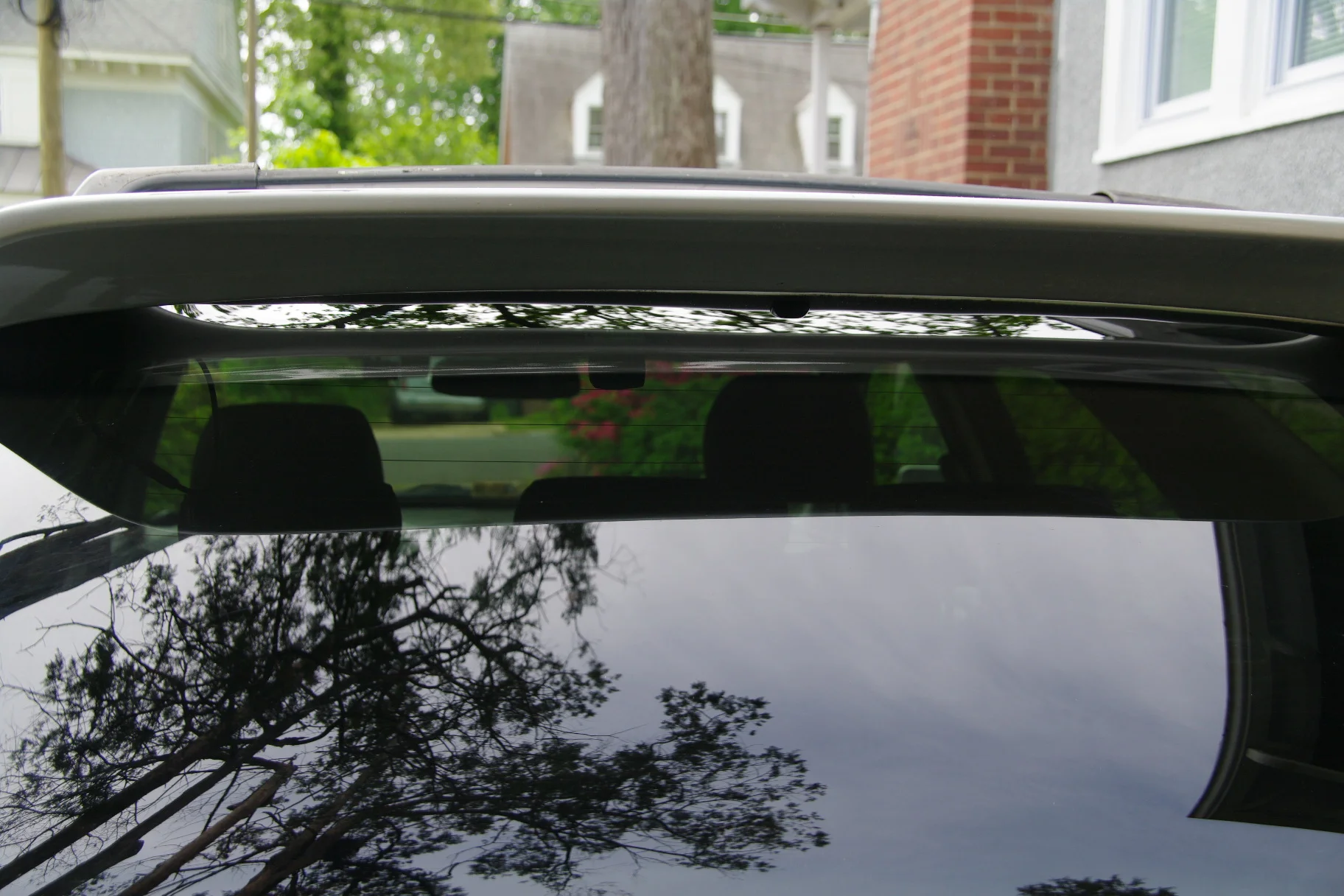 IMGP1471.webp
