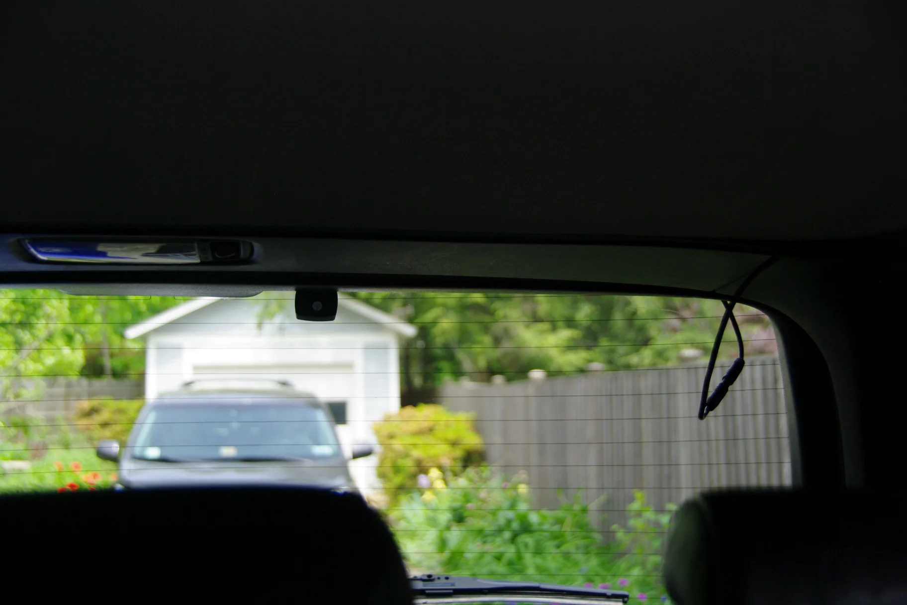 IMGP1476.webp
