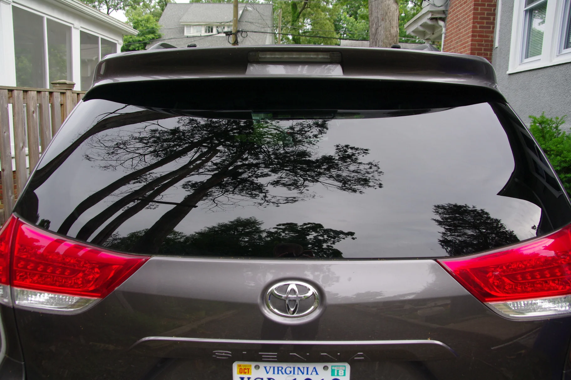 IMGP1552.webp