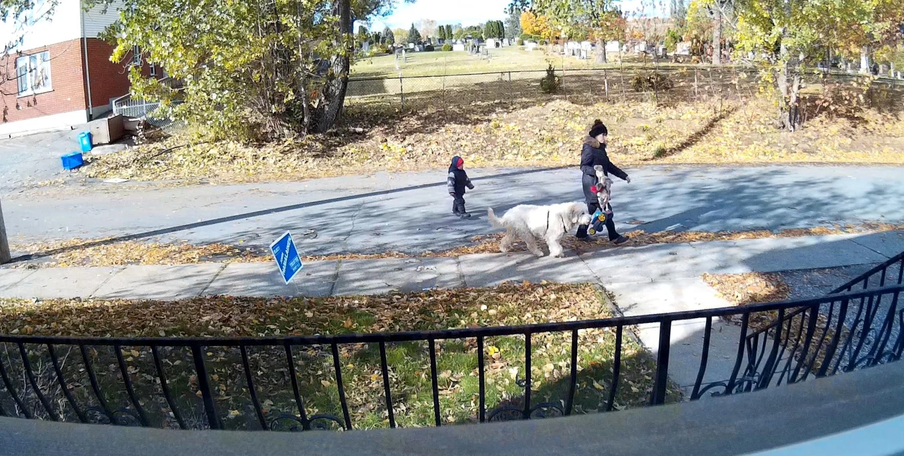 L0000001.MOV_snapshot_00.00_[2014.10.21_11.21.32].webp