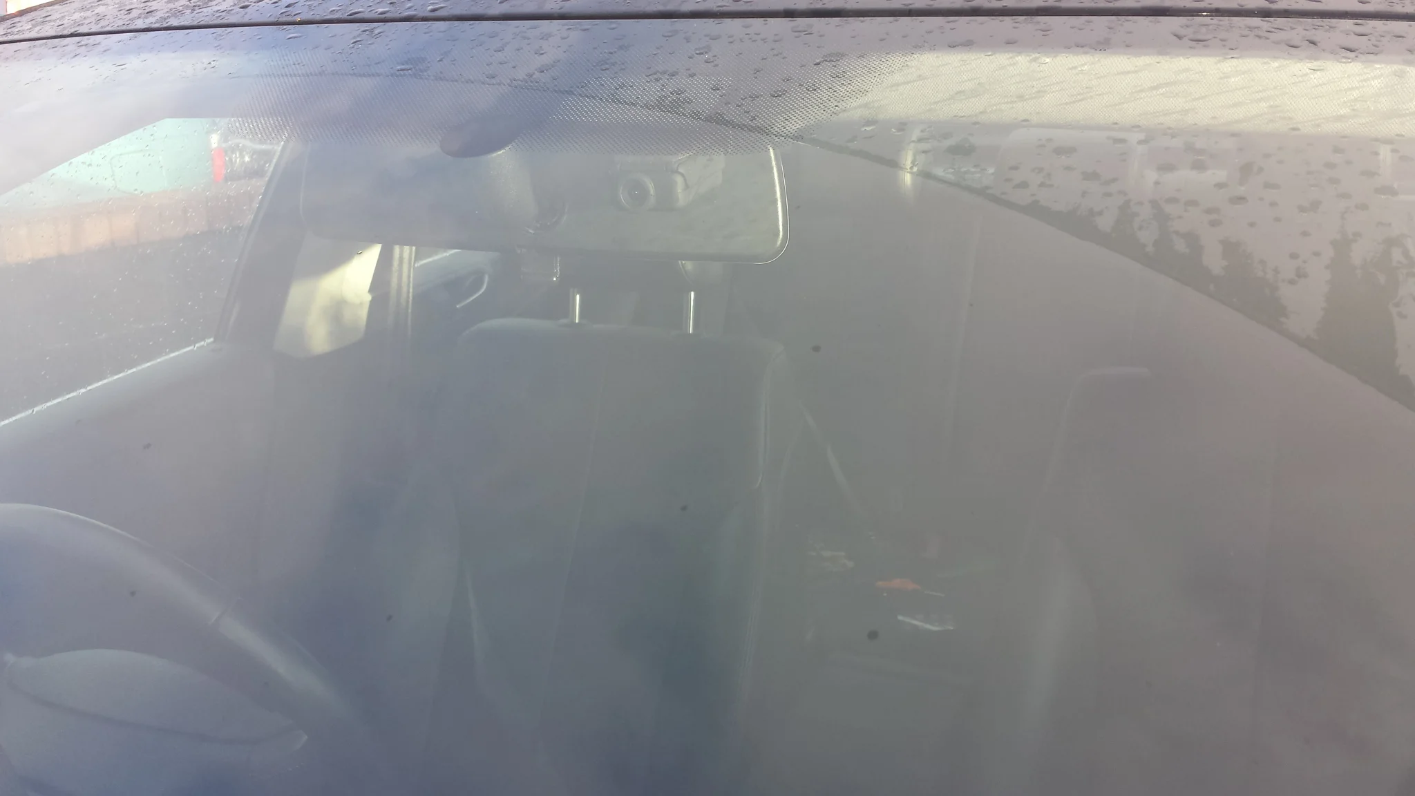 Mobius in car 2.webp