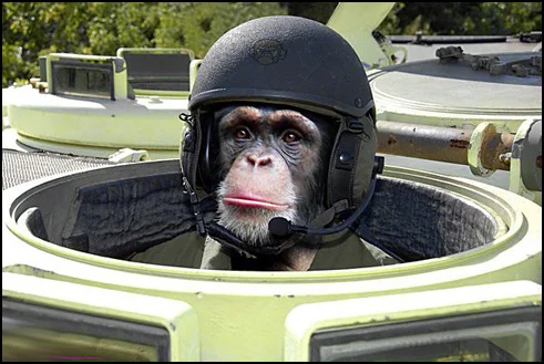 monkeytanker.webp