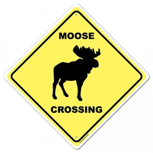 moose.webp
