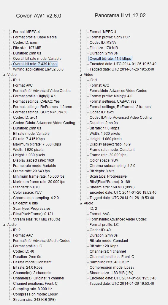 Night Specs.webp