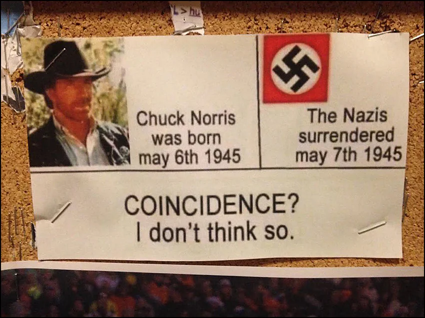 norris.webp