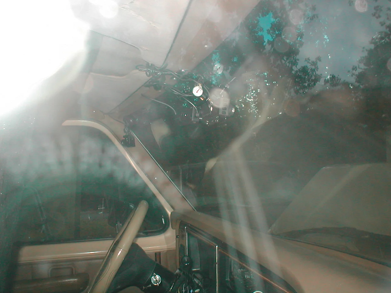 P9050049.webp