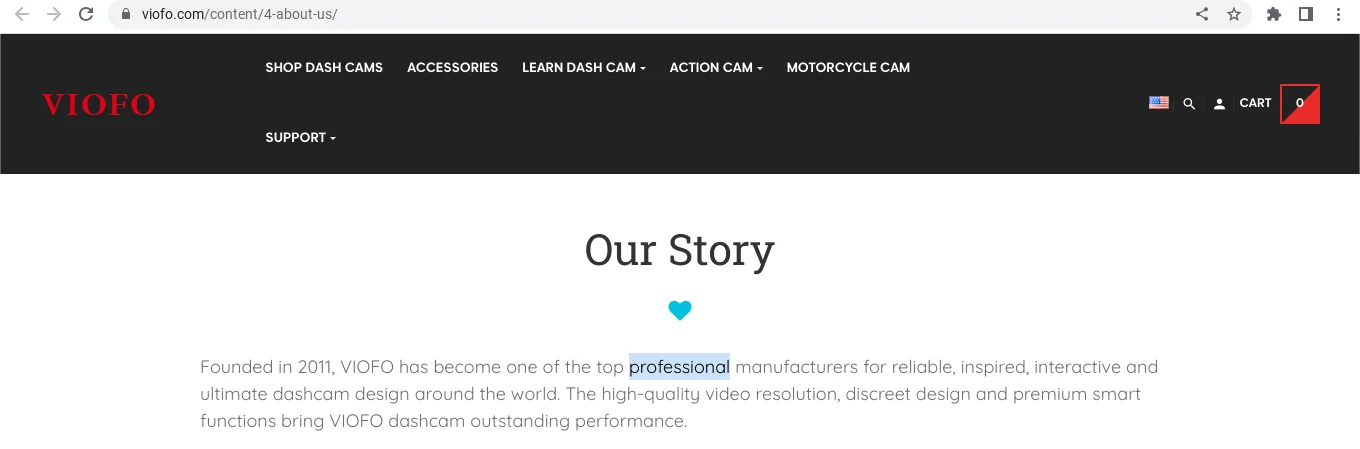 Professional .webp
