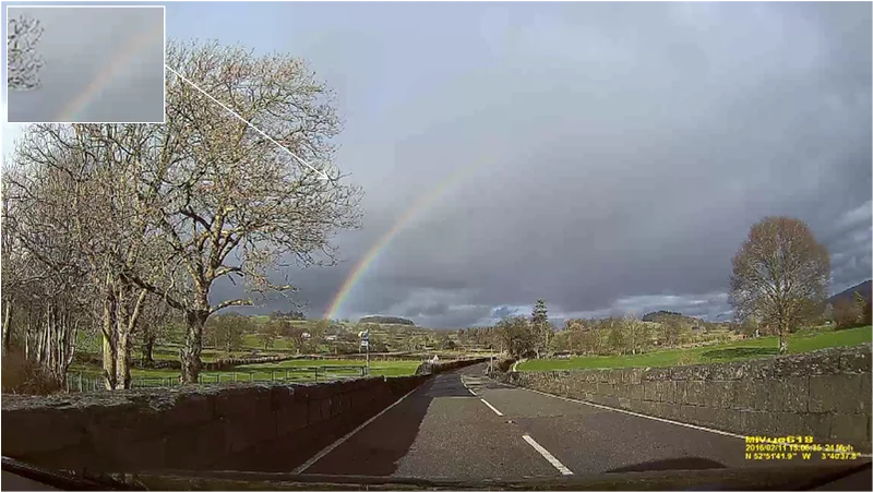 Rainbow detail.webp