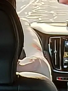 Rear Cabin Crop.webp