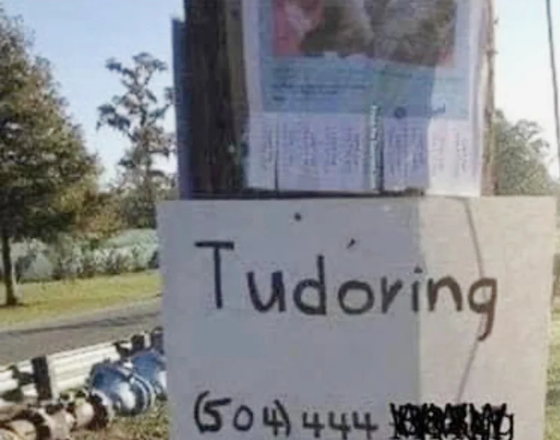 tudor.webp