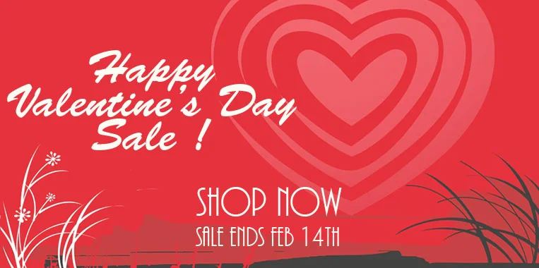 Valentines Day Sale 2.webp