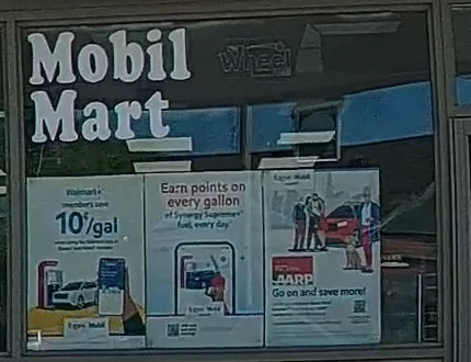 Viofo Mobile Enlarge.webp