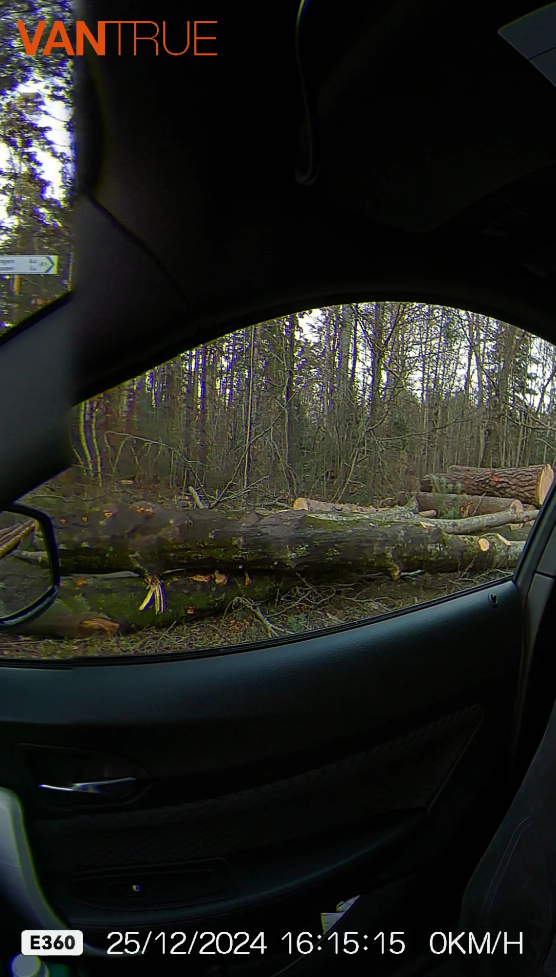 vlcsnap-2024-12-25-17h08m38s595.webp