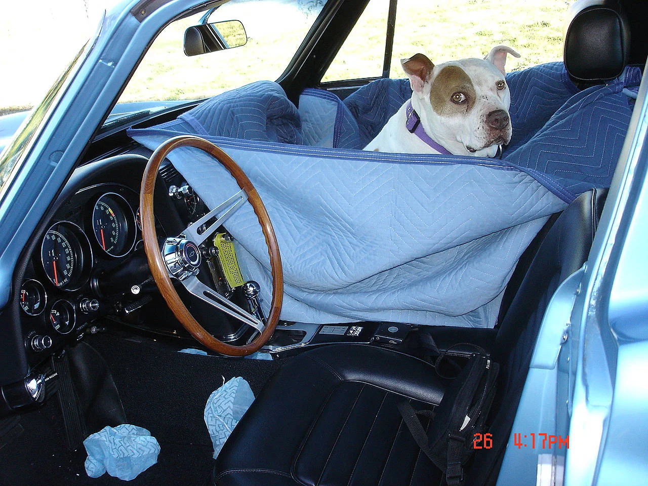 willie in the vette.webp
