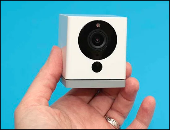wyzecam1.webp