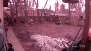2.1mm_IR_lens.webp