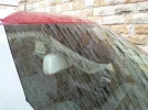 uploadfromtaptalk1368193402673.webp